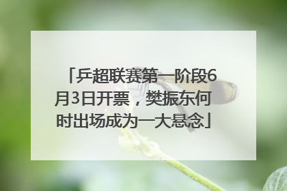 乒超联赛第一阶段6月3日开票，樊振东何时出场成为一大悬念