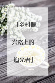 乡村振兴路上的追光者