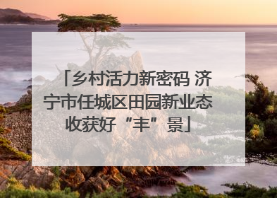 乡村活力新密码 济宁市任城区田园新业态收获好“丰”景