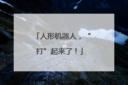 人形机器人，“打”起来了！
