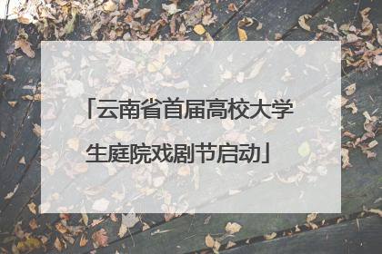 云南省首届高校大学生庭院戏剧节启动