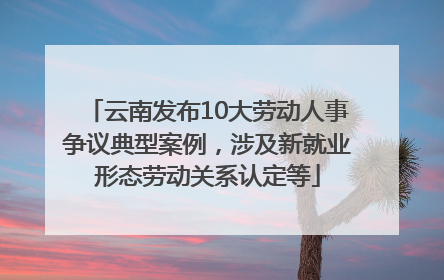 云南发布10大劳动人事争议典型案例，涉及新就业形态劳动关系认定等
