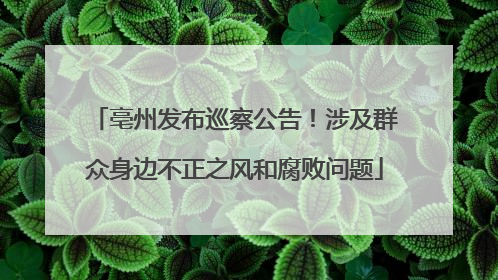 亳州发布巡察公告！涉及群众身边不正之风和腐败问题