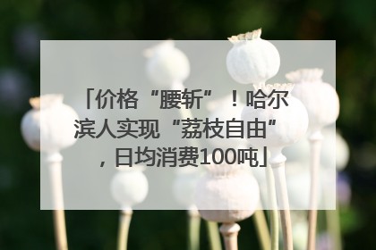 价格“腰斩”！哈尔滨人实现“荔枝自由”，日均消费100吨