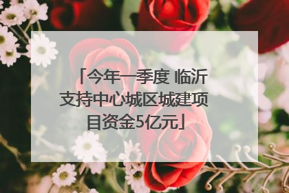 今年一季度 临沂支持中心城区城建项目资金5亿元
