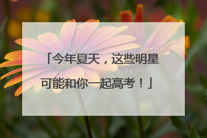 今年夏天，这些明星可能和你一起高考！