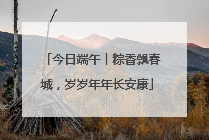 今日端午丨粽香飘春城，岁岁年年长安康