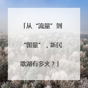 从“流量”到“留量”，新民歌湖有多火？