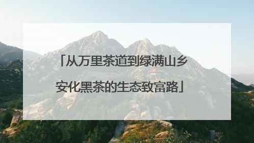 从万里茶道到绿满山乡 安化黑茶的生态致富路