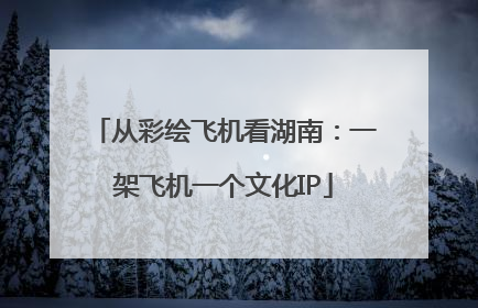 从彩绘飞机看湖南：一架飞机一个文化IP