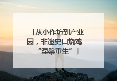从小作坊到产业园，非遗史口烧鸡“涅槃重生”