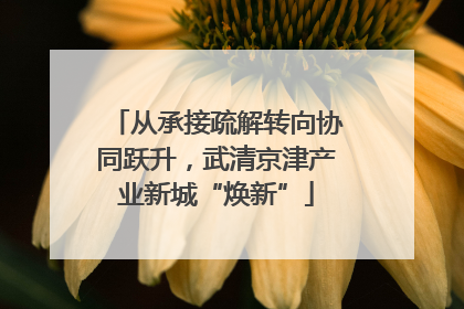 从承接疏解转向协同跃升，武清京津产业新城“焕新”