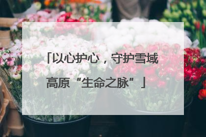 以心护心，守护雪域高原“生命之脉”