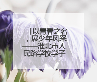 以青春之名，展少年风采——淮北市人民路学校学子孟景宣荣膺“新时代好少年”荣誉称号
