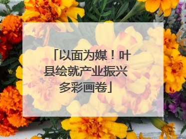 以面为媒！叶县绘就产业振兴多彩画卷