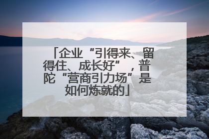 企业“引得来、留得住、成长好”，普陀“营商引力场”是如何炼就的