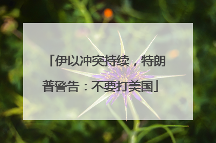 伊以冲突持续，特朗普警告：不要打美国