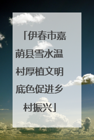 伊春市嘉荫县雪水温村厚植文明底色促进乡村振兴