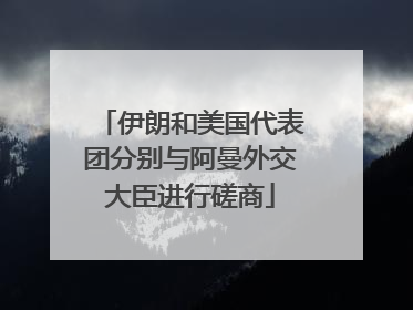伊朗和美国代表团分别与阿曼外交大臣进行磋商
