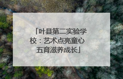 叶县第二实验学校：艺术点亮童心 五育滋养成长