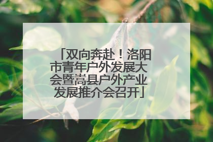 双向奔赴！洛阳市青年户外发展大会暨嵩县户外产业发展推介会召开
