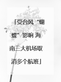 受台风“蝴蝶”影响 海南三大机场取消多个航班