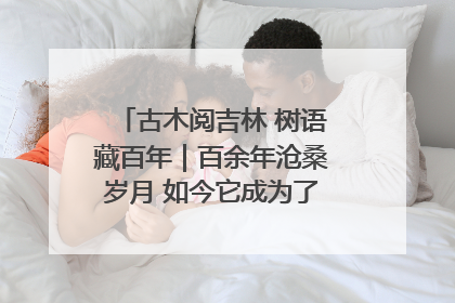 古木阅吉林 树语藏百年｜百余年沧桑岁月 如今它成为了“镇园之宝”