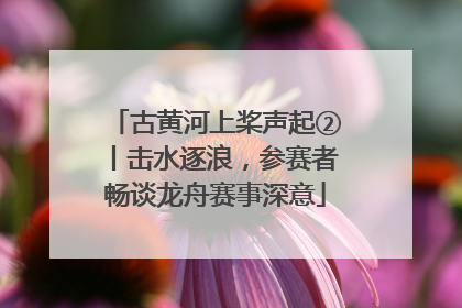 古黄河上桨声起②丨击水逐浪，参赛者畅谈龙舟赛事深意
