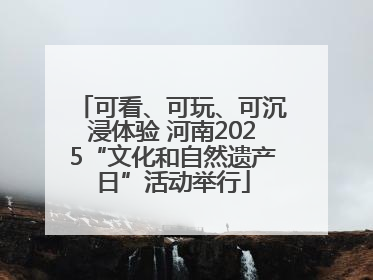 可看、可玩、可沉浸体验 河南2025“文化和自然遗产日”活动举行