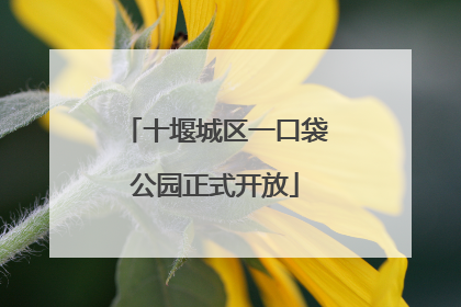 十堰城区一口袋公园正式开放