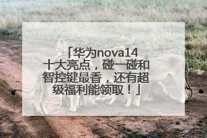 华为nova14十大亮点，碰一碰和智控键最香，还有超级福利能领取！