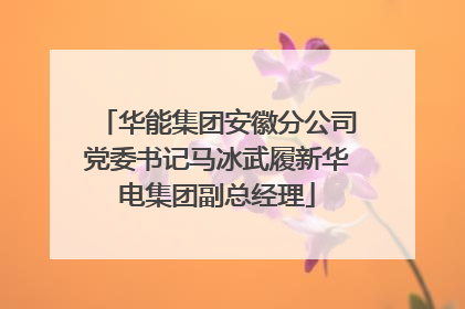 华能集团安徽分公司党委书记马冰武履新华电集团副总经理