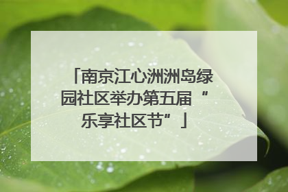 南京江心洲洲岛绿园社区举办第五届“乐享社区节”