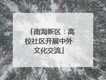 南海新区：高校社区开展中外文化交流