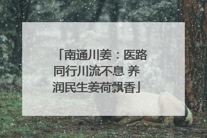 南通川姜：医路同行川流不息 养润民生姜荷飘香