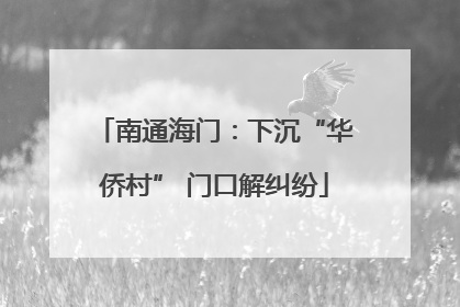 南通海门：下沉“华侨村” 门口解纠纷