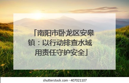 南阳市卧龙区安皋镇：以行动排查水域 用责任守护安全