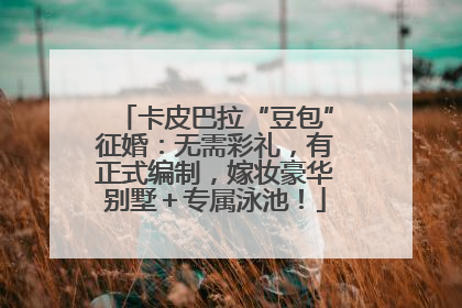 卡皮巴拉“豆包”征婚：无需彩礼，有正式编制，嫁妆豪华别墅＋专属泳池！