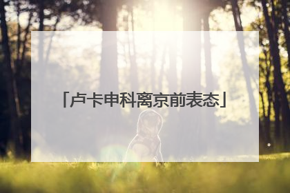 卢卡申科离京前表态