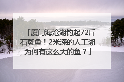 厦门海沧湖钓起72斤石斑鱼！2米深的人工湖为何有这么大的鱼？