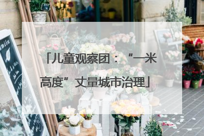 儿童观察团：“一米高度”丈量城市治理