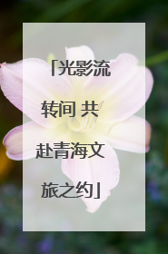 光影流转间 共赴青海文旅之约