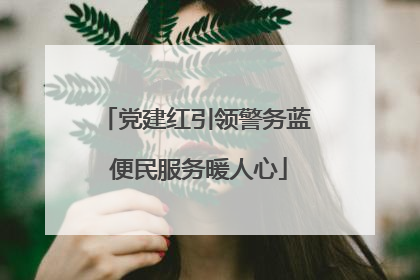 党建红引领警务蓝 便民服务暖人心