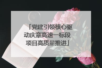 党建引领核心驱动庆章高速一标段项目高质量推进