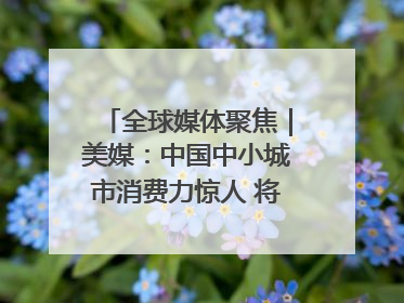 全球媒体聚焦｜美媒：中国中小城市消费力惊人 将成投资新机遇