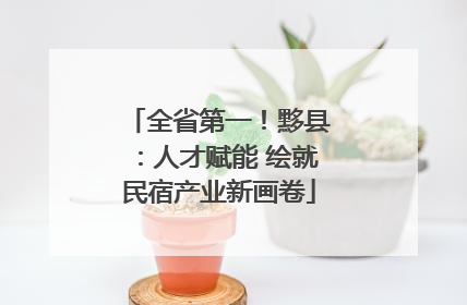 全省第一！黟县：人才赋能 绘就民宿产业新画卷