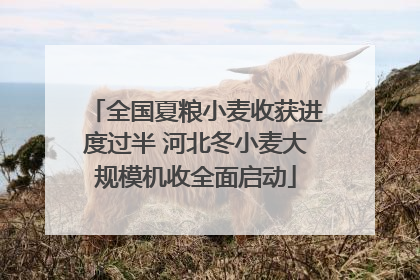 全国夏粮小麦收获进度过半 河北冬小麦大规模机收全面启动