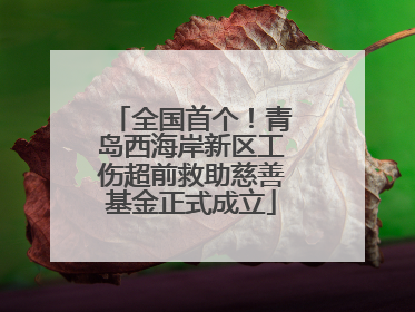 全国首个！青岛西海岸新区工伤超前救助慈善基金正式成立