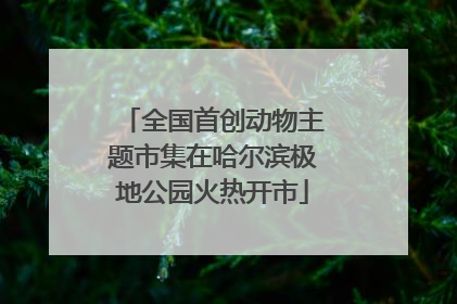 全国首创动物主题市集在哈尔滨极地公园火热开市