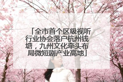 全市首个区级视听行业协会落户杭州钱塘，九州文化牵头布局微短剧产业高地